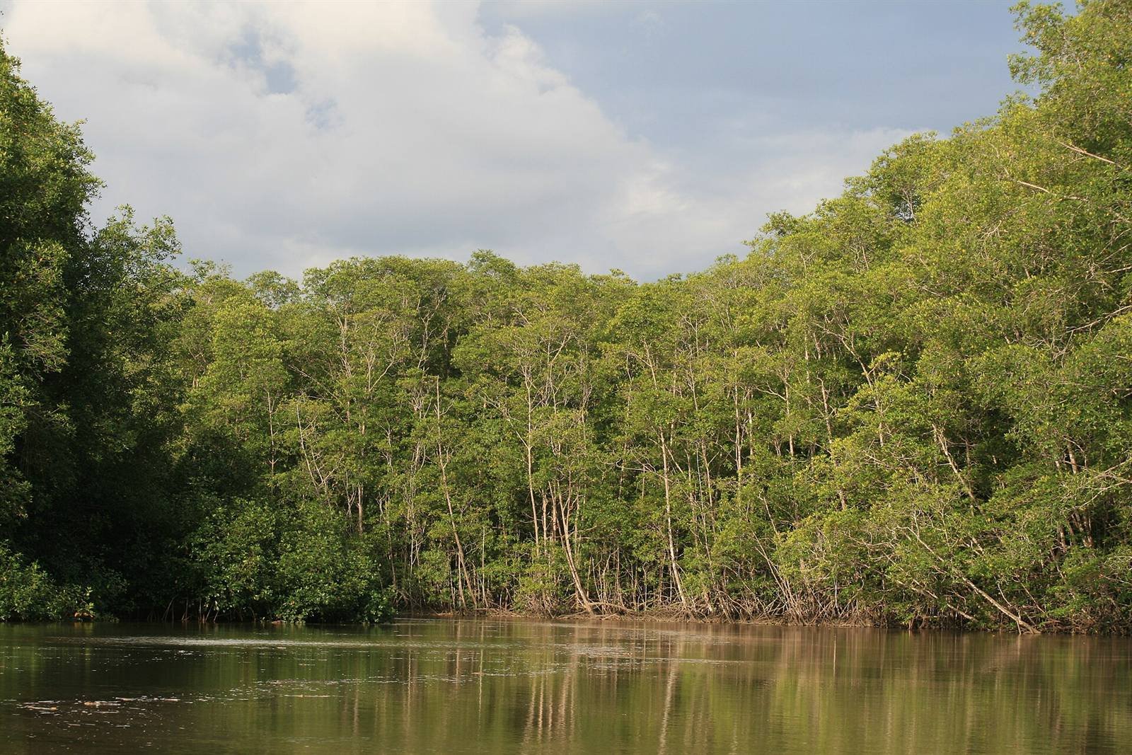 Damas Island mangroves · 3.7 km
